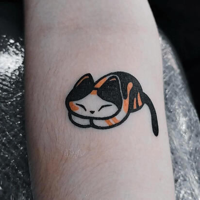 Cat Cat